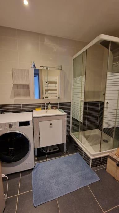 Appartement Cocooning Ars-sur-Moselle Dış mekan fotoğraf